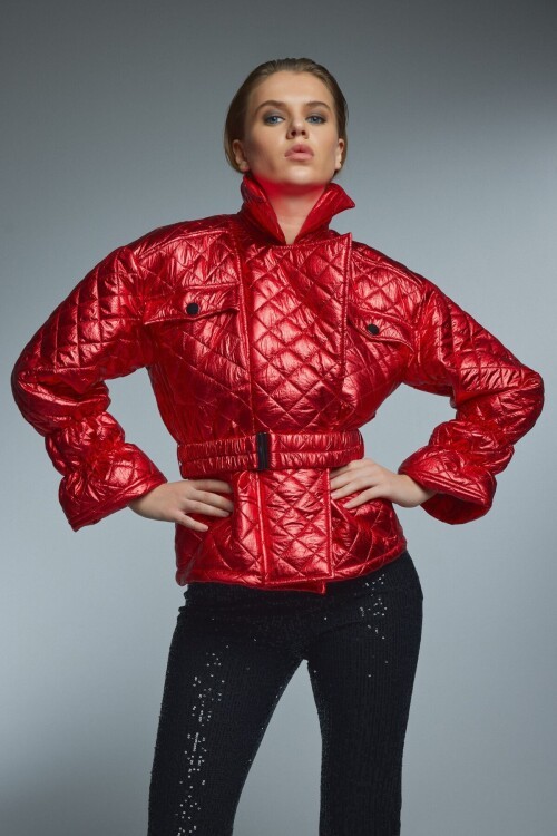 ALEXANDER COAT